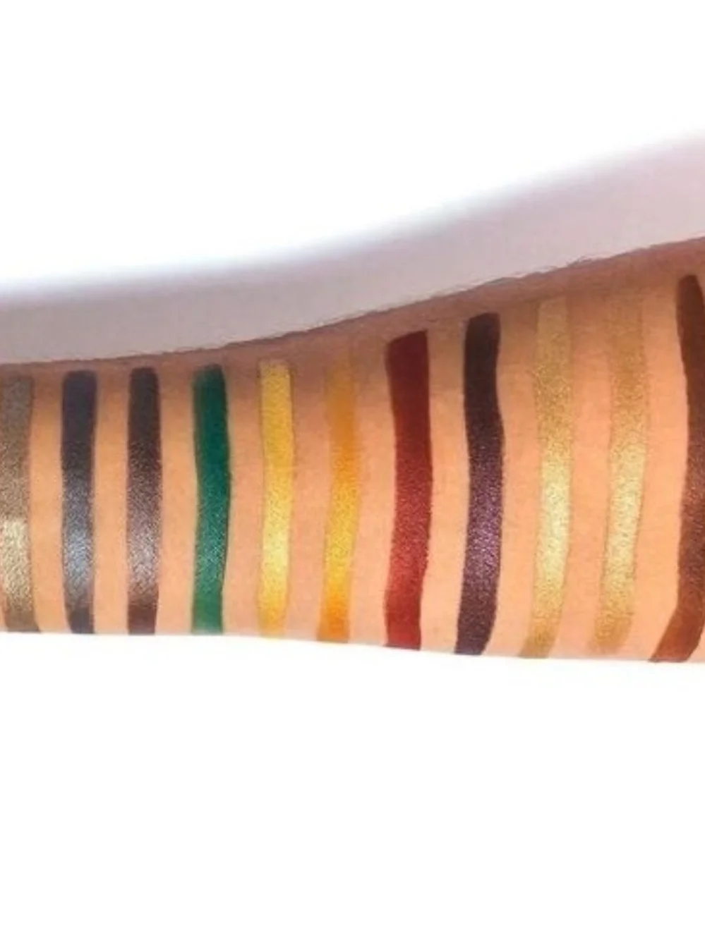 Nomad 10 Year Anniversary 15 Shade Eye Color Pallette.